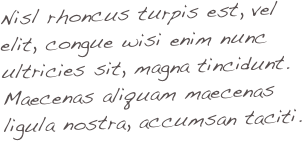 Nisl rhoncus turpis est, vel elit, congue wisi enim nunc ultricies sit, magna tincidunt. Maecenas aliquam maecenas ligula nostra, accumsan taciti.